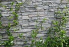 Springvale VICgreen-walls-4.jpg; ?>