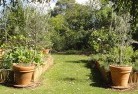 Springvale VICvegetable-gardens-3.jpg; ?>